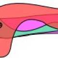 mconstep0.jpg