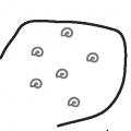 shell.png