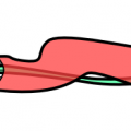 pitchfillnone.png