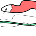 pitchfillnoneoffset.png