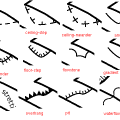 images_lines.png