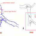 images_nodata.png