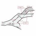 images_outline1.jpg