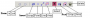tbe:images_toolbar2.png