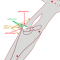 complicated_junction_2.png